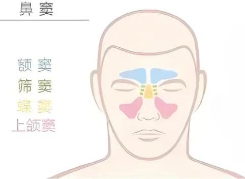 鼻窦炎来袭,后果竟如此严重!重新认识你的鼻窦 - 知乎