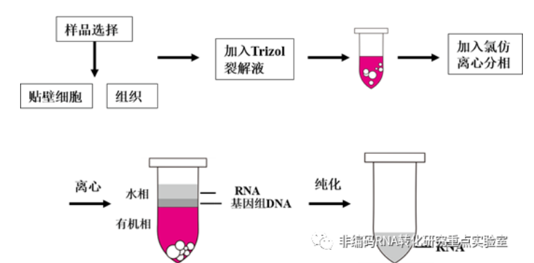 提取 rna 有哪些注意事项? - 知乎