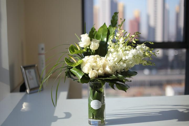 干货 非常全面的鲜切花养护知识 知乎