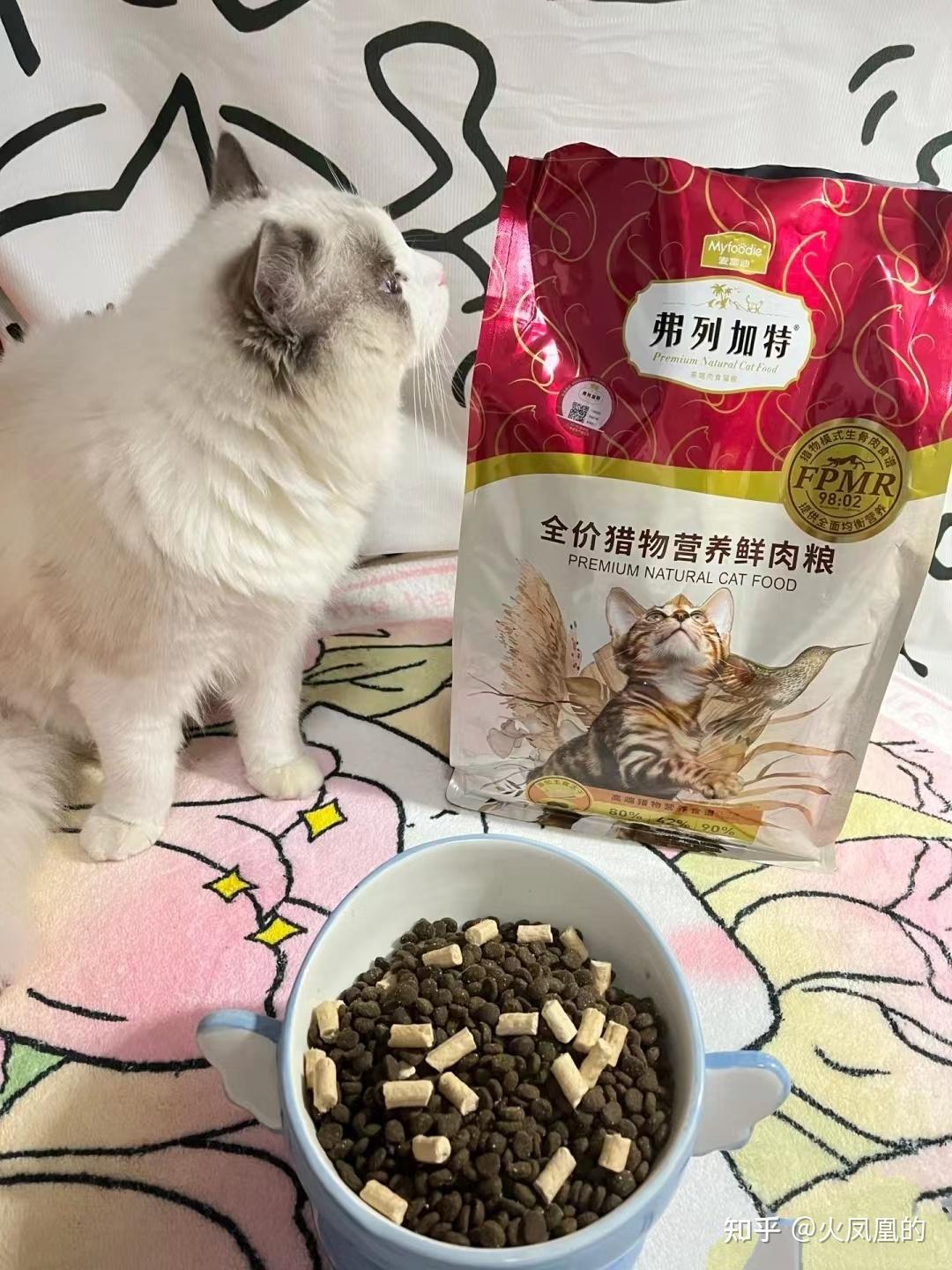 流浪猫猫粮什么牌子好又便宜（猫粮什么牌子好又便宜）-第2张图片-潮百科