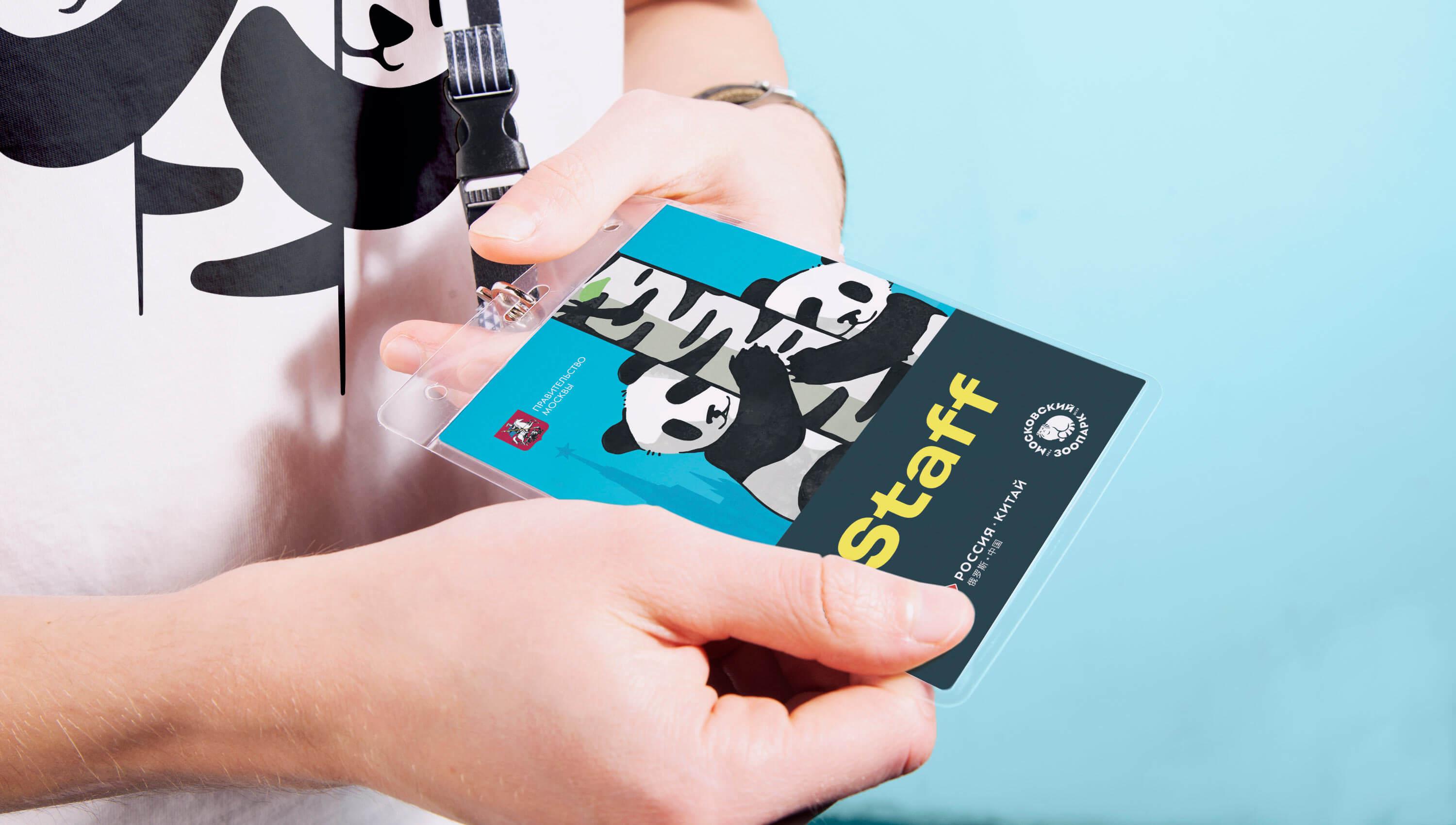 系统的学会 Pandas 基本使用看这一篇就够了