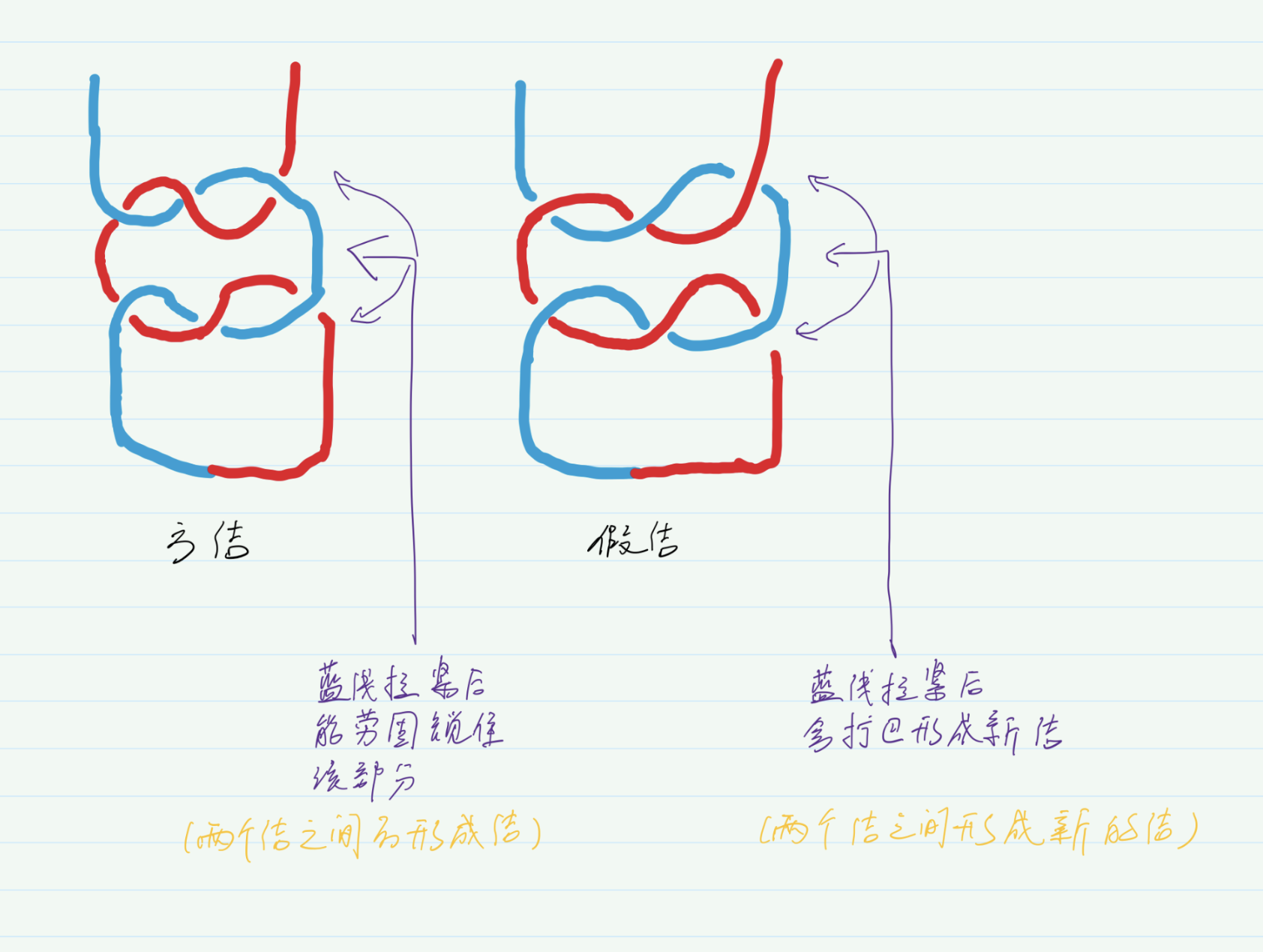 方结和假结的区别