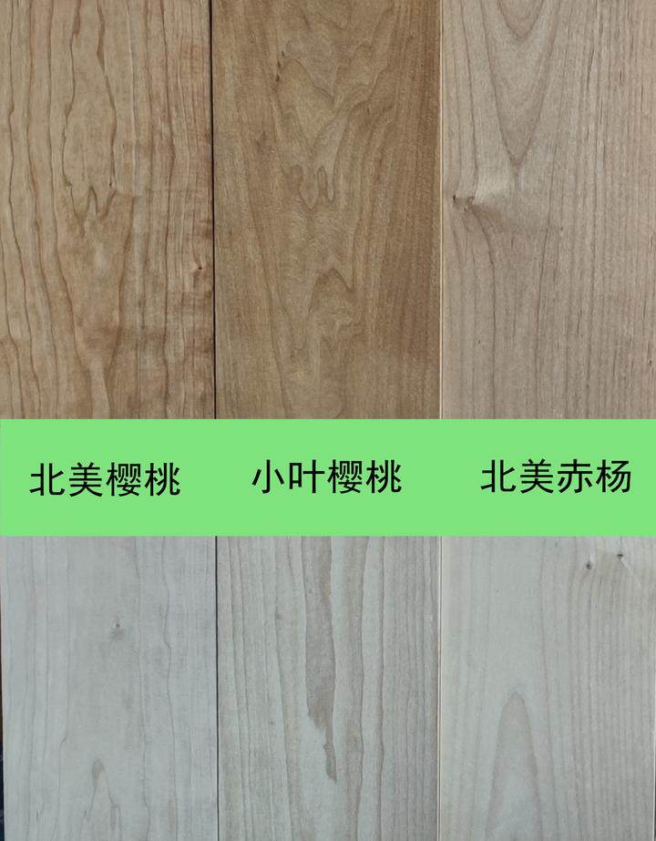 北美樱桃木,南美樱桃木,小叶樱桃木有什么区别?