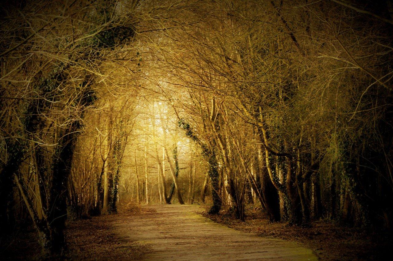 土地的供给曲线为什么垂直