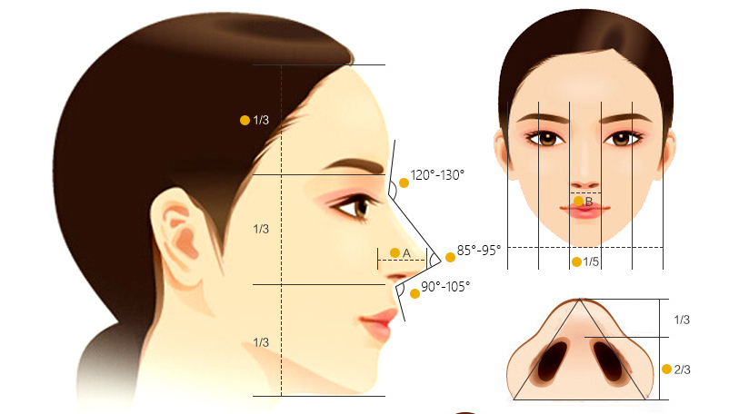 請問為什麼這樣的側臉很難畫好看? - 知乎