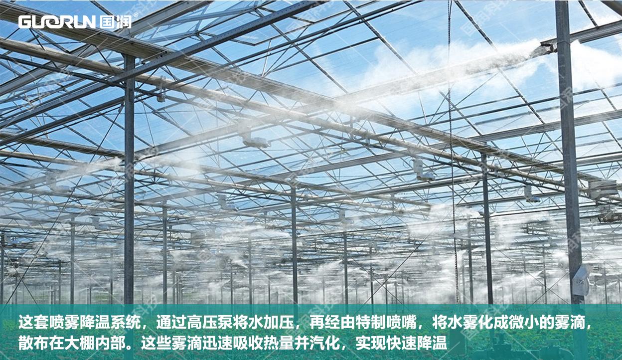 高温天气大棚怎样降温今日情况