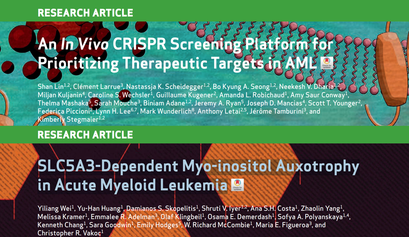 Cancer discov crispr screening aml slc5a3 