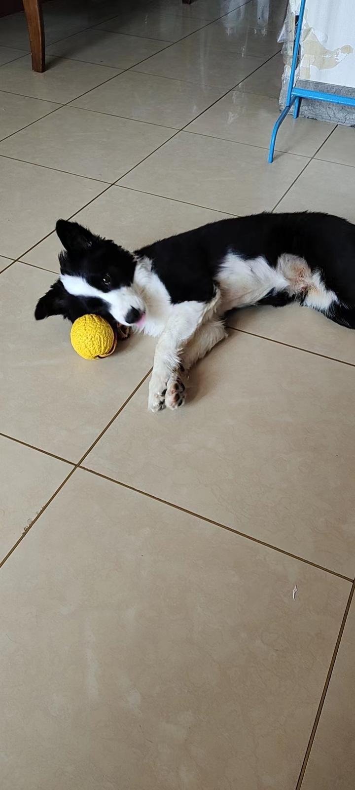 2022.9.7笔记整理：JavaScript基本语法 - 知乎