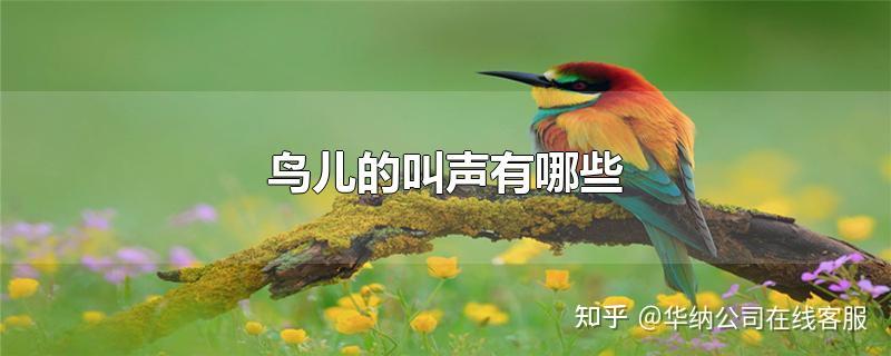怎么快速判断自己听到的鸟叫声是什么鸟的