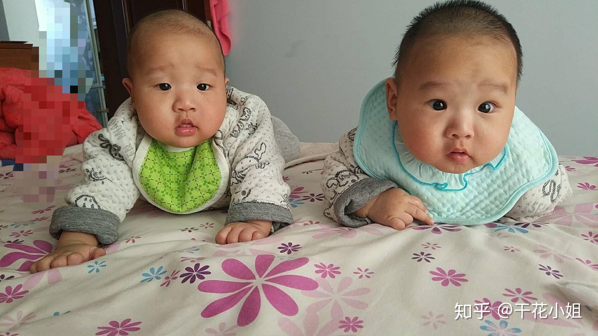 有没有异卵双生的同性双胞胎