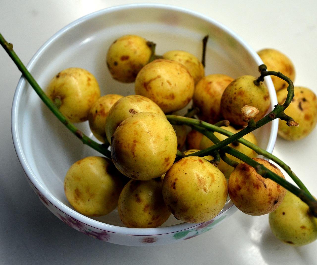 荔枝出产什么地方