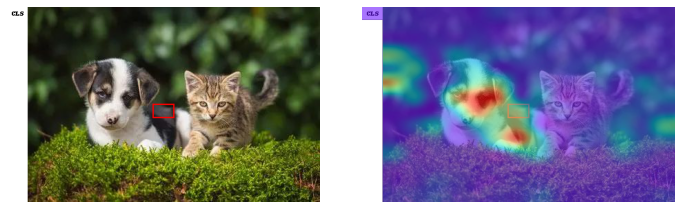 Visualizer!简化你的Vision Transformer可视化! - 知乎