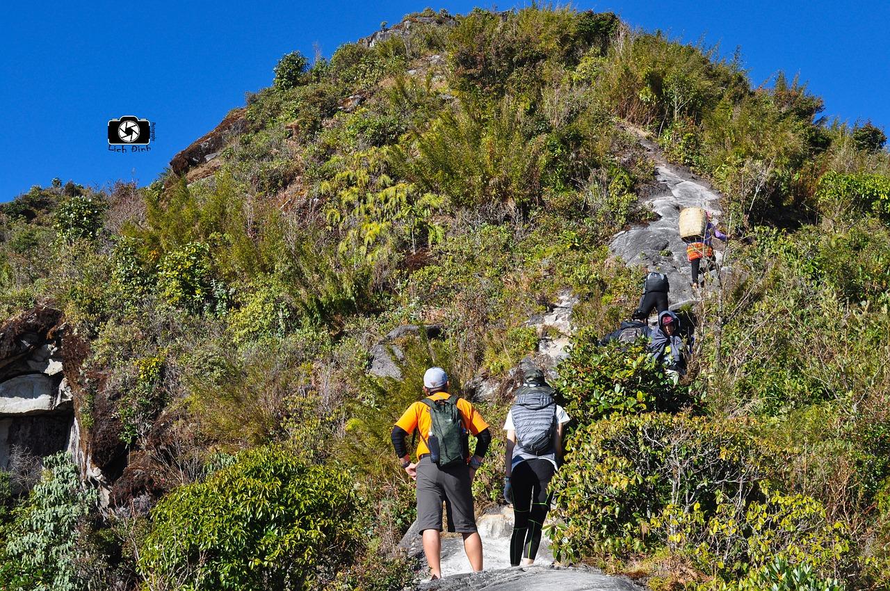 4. 感受自然之美