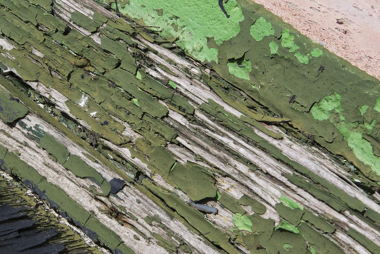 4. 菩提抛光步骤