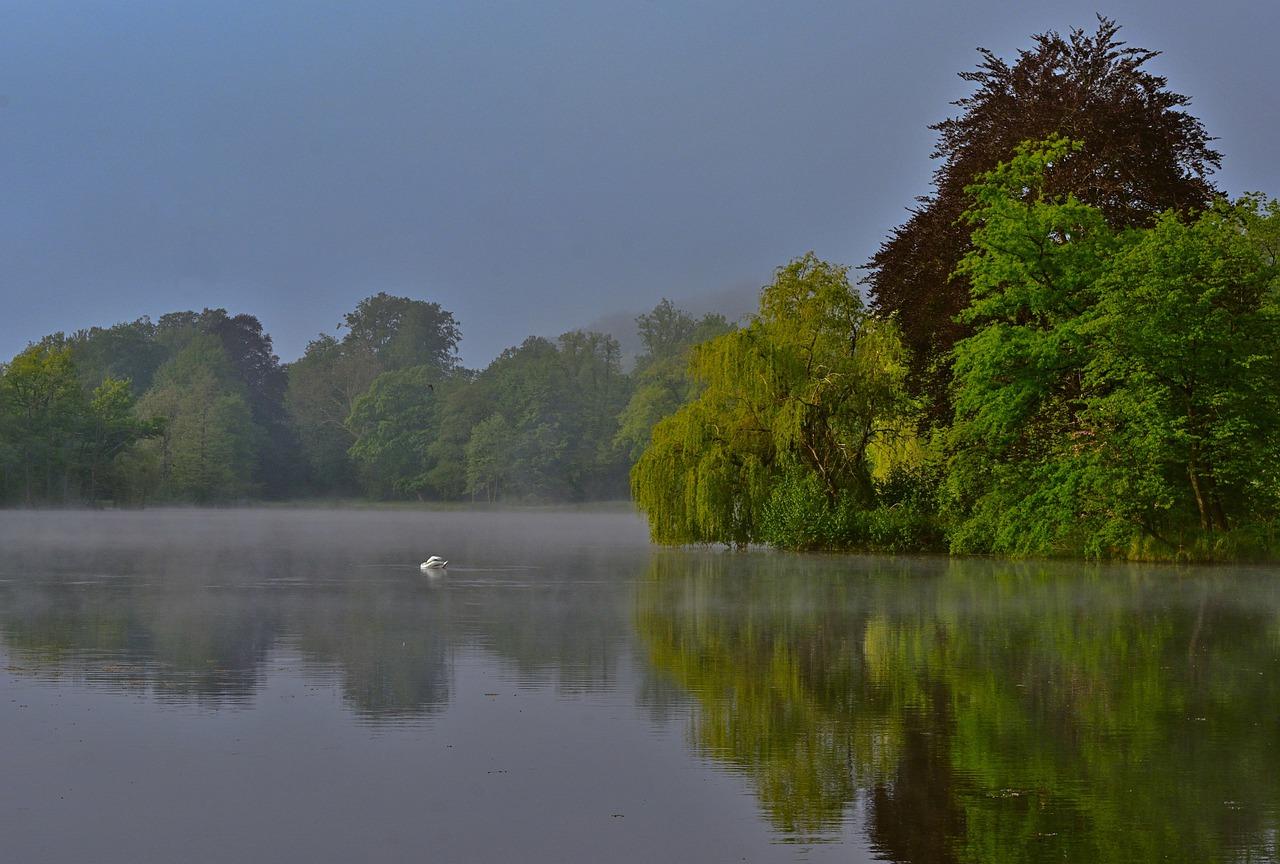 东湖水景园属于哪里校区