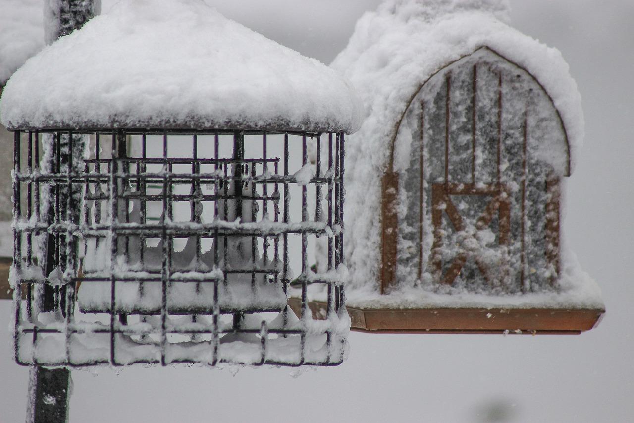 3. 换土时机选择