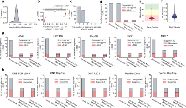 美国西北大学杨仁东课题组Nature Communications: 基因组语言模型消除纳米孔 direct-RNA 测序中的嵌合伪影 - 知乎