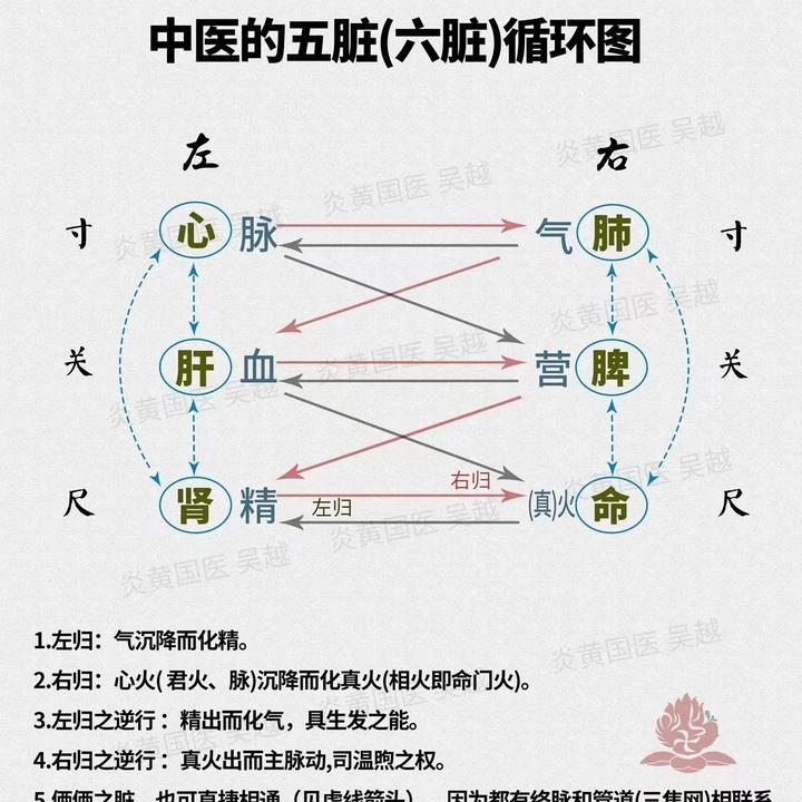 人体诸窍 - 知乎