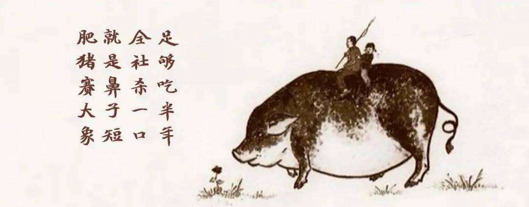 睁眼说瞎话还不心虚的人是什么心态? - 知乎