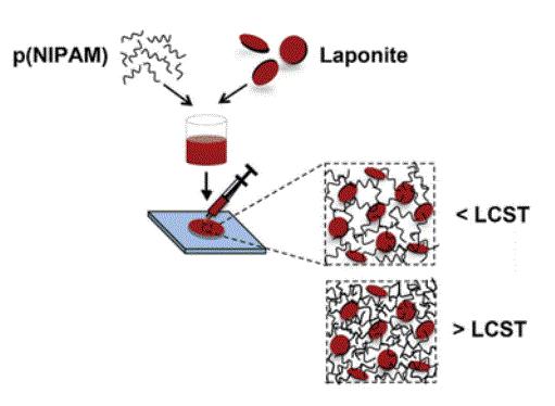 Biomaterials Science：一种可注射的、温度敏感的新型水凝胶止血剂 - 知乎