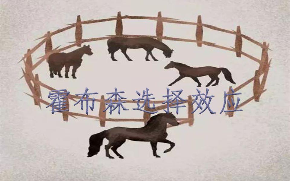 霍布森选择效应:没有对比的选择宁可扔掉