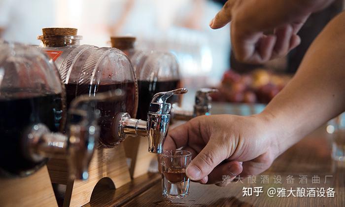 泡果酒用什么酒合适，春季泡果酒超详细攻略！ - 知乎