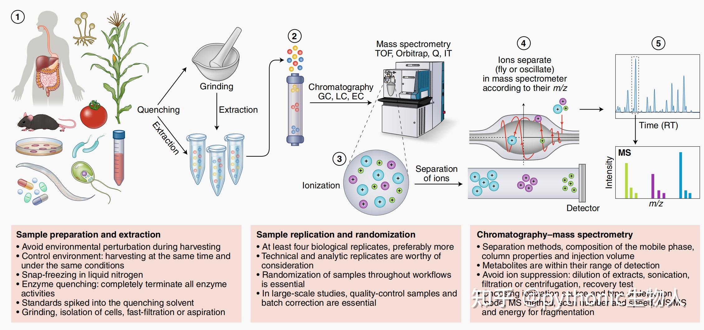 生物信息学中，基因组学、蛋白组学、代谢组学差别有多大？ - 知乎