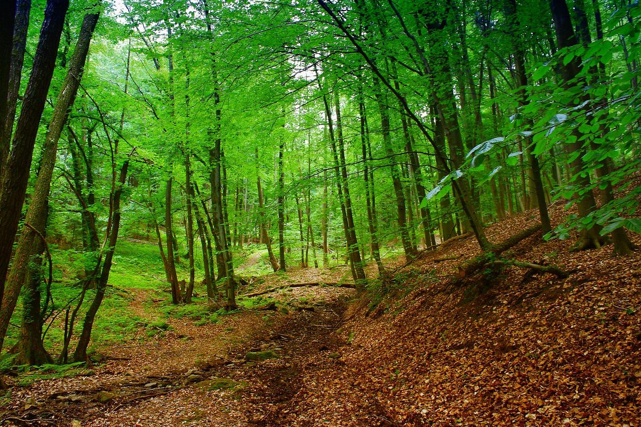 4. 松柏塘环境宜居