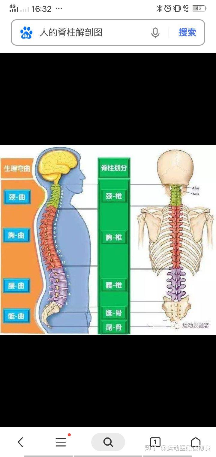 腰痛功能性锻炼是每天都要锻炼吗还是间隔一天,比如今天练多裂肌明天