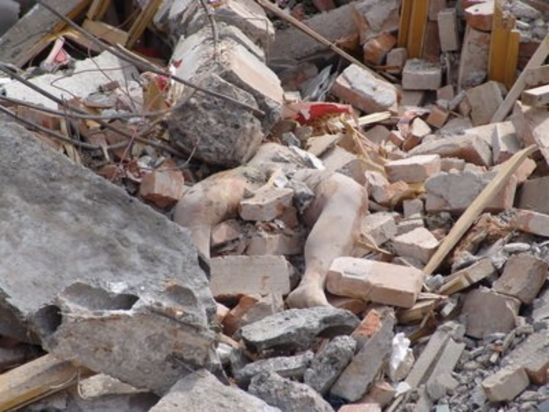 为什么中国要保留伞降空降兵兵种