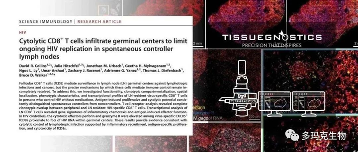 Science子刊 麻省总医院探索病毒诱导的免疫反应对淋巴结微环境的影响 知乎