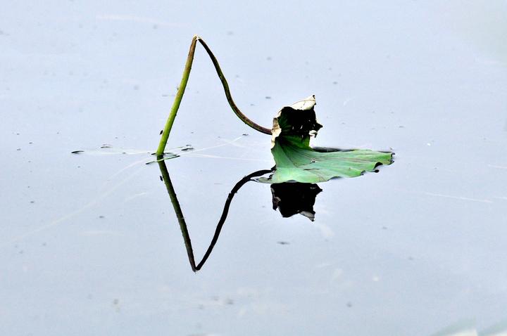 一千八百年后，李膺这种人还剩下多少？ 知乎