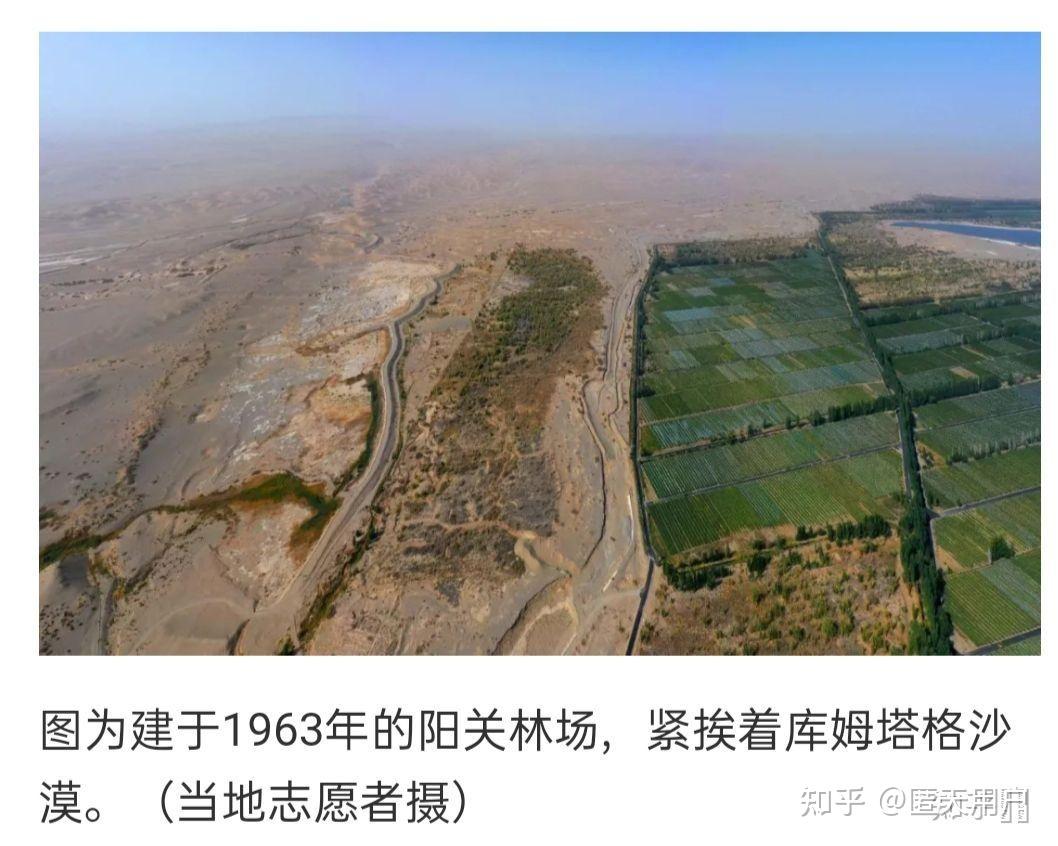 如何看待媒体再披露敦煌毁林案资料显示敦煌阳关林场防护林面积为13