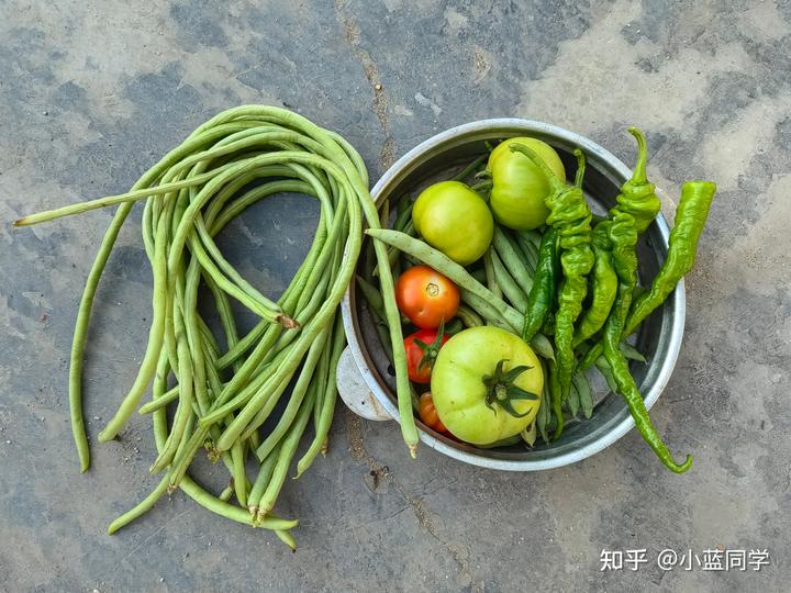 人，可以废物到什么程度？