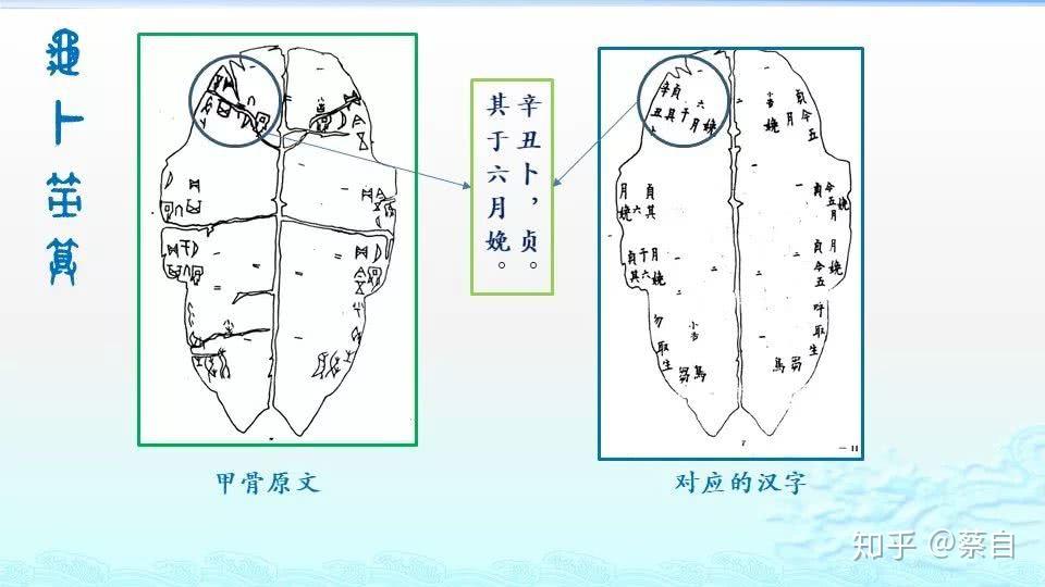 大猜想:商周时代的龟卜和筮算是怎样操作的? - 知乎