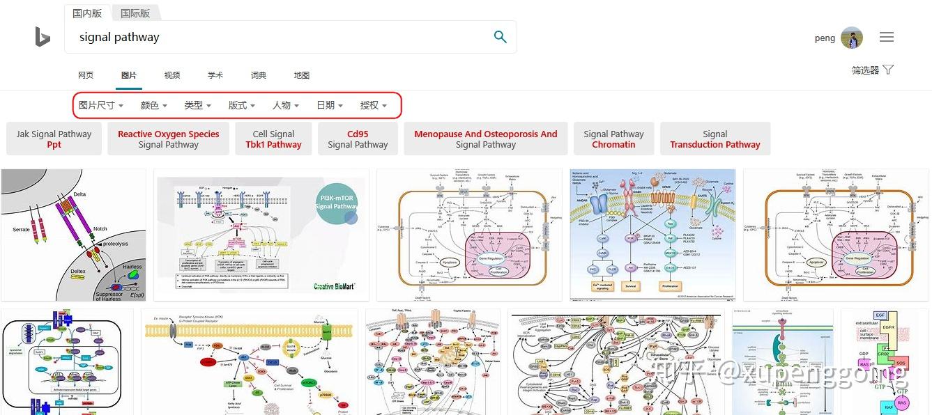科研基础漫谈(1) | 做科研推荐什么浏览器或搜索引擎? - 知乎