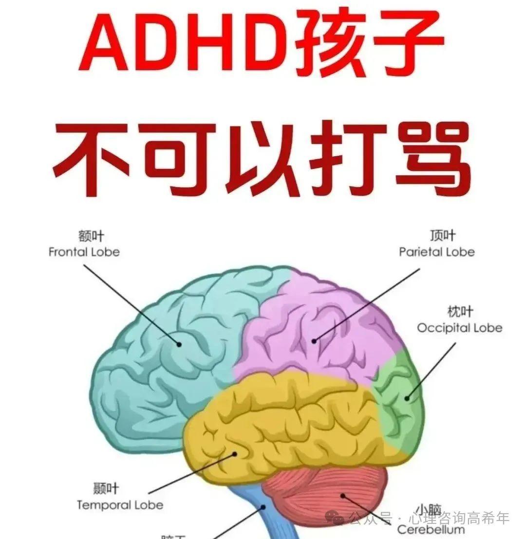 科普|认识多动症(ADHD):是需要关注的神经发育障碍 - 知乎