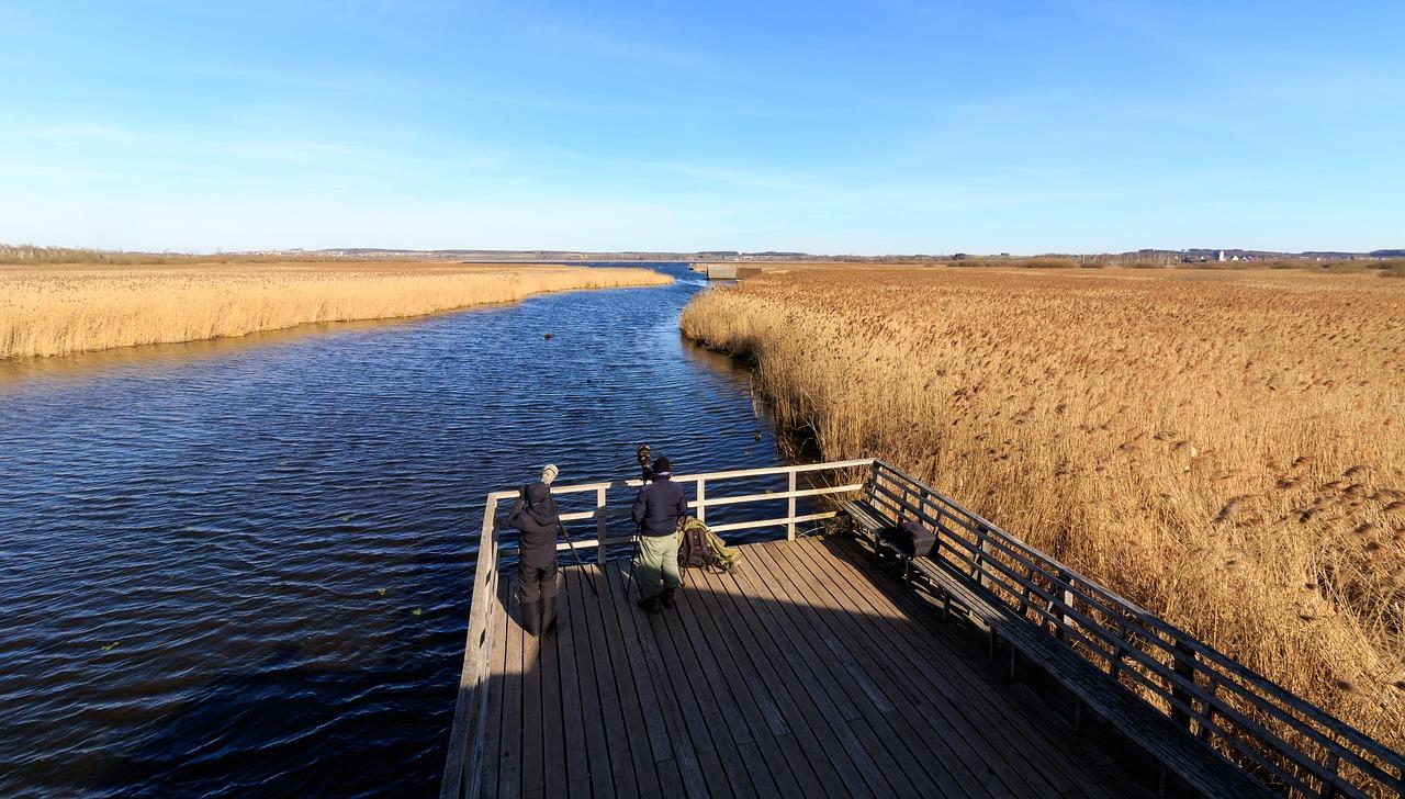 5. 品牌历史介绍