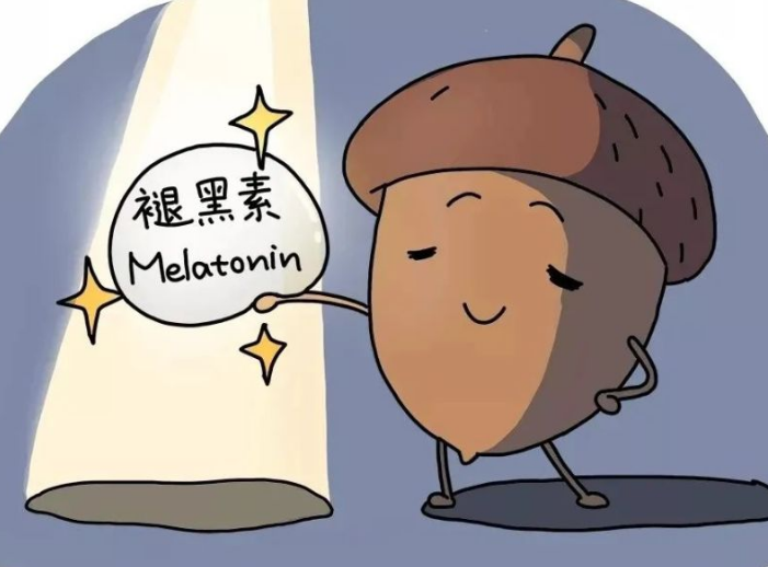 褪黑素的副作用都有哪些?