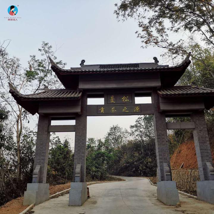 倚邦之最！能够成为贡茶的曼松，它凭的是什么？ - 知乎