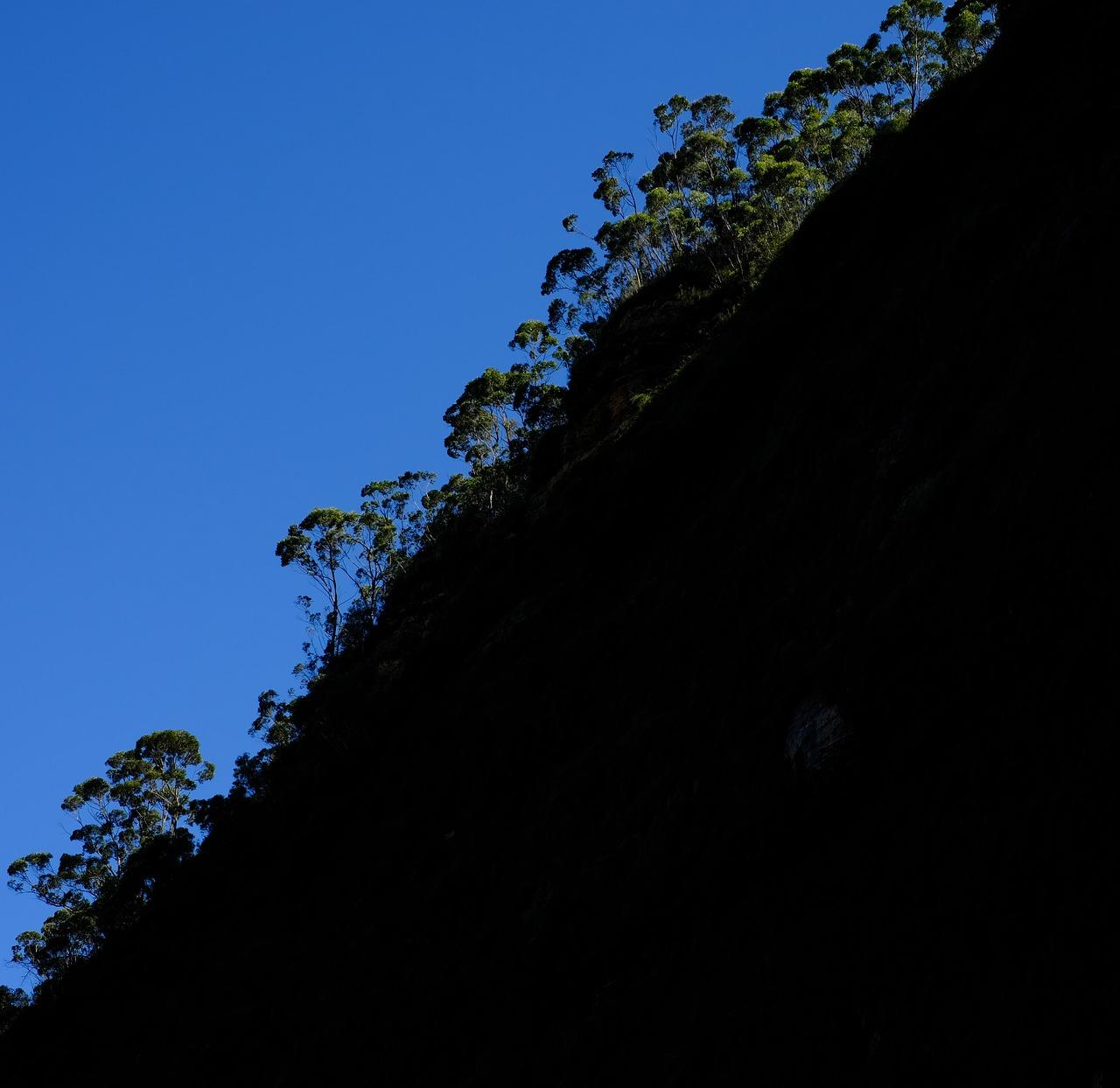 树木成荫什么意思