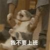 关于斗破苍穹的女性角色(三)——云韵篇 - 知乎