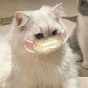 我麋鹿啦