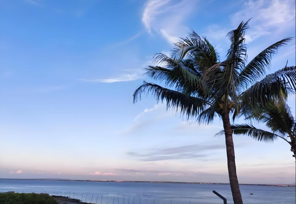 椰风海韵:邂逅海南的浪漫风情 - 知乎