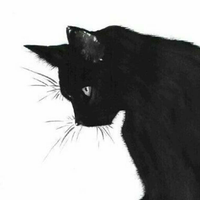 Zhihu profile picture for @orphan