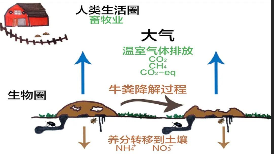 为什么拖完地总有股腥臭味？真相竟然是……