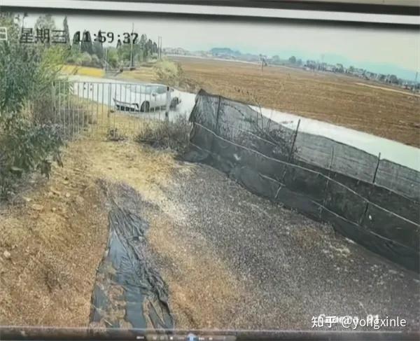 “副驾驶没能救出”!新能源车碰撞后起火自燃,热心路人砸窗救人!涉事车企回应