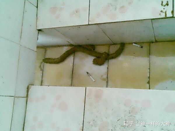 如何拉出一根 50 cm 长的屎? - 知乎