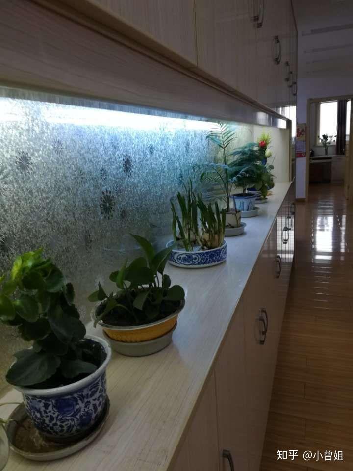 当你退休了,你会怎样去过你的退休生活? - 知乎
