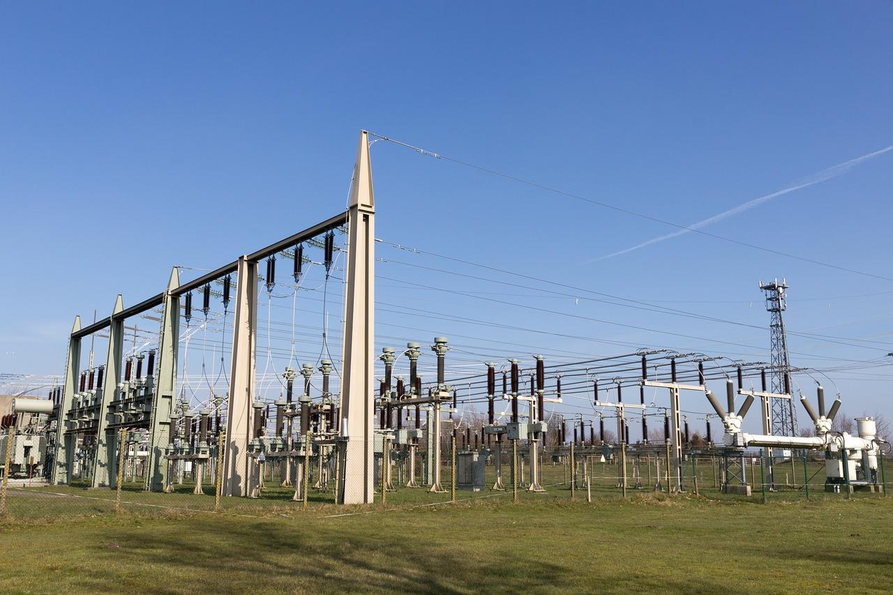 2. 国有电力企业